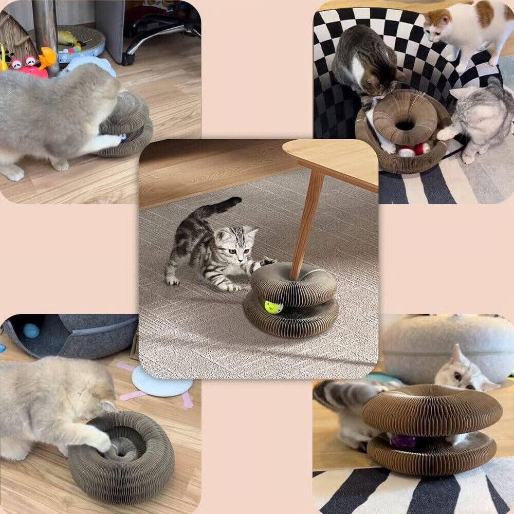Magic Cat Scratcher β Foldable Donut Toy