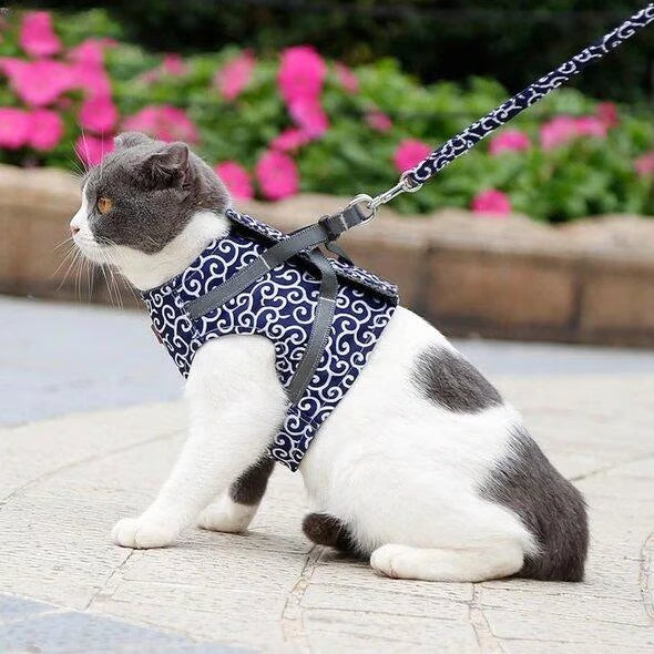 ๐ฑCat Vest Harness & Leash Set