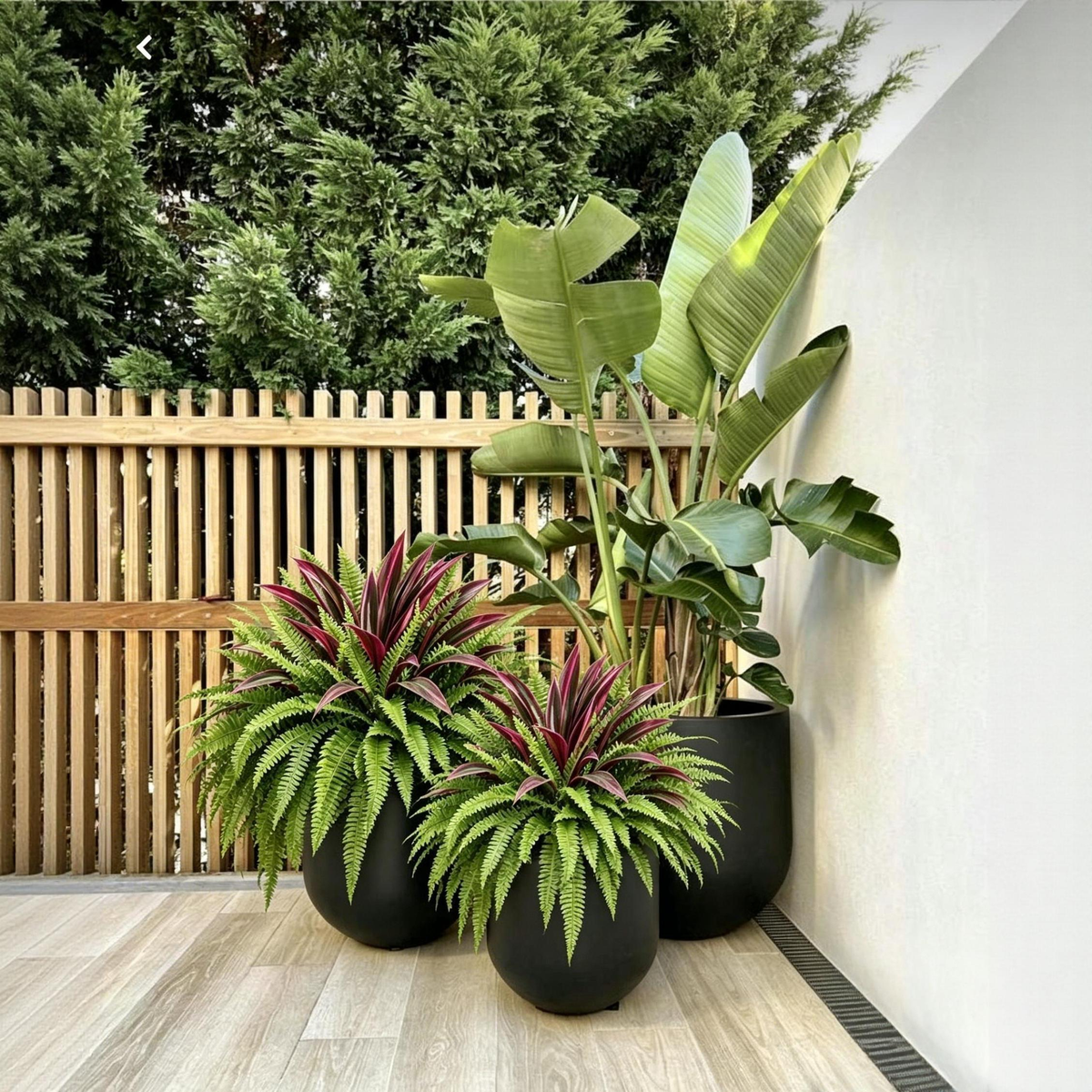 💥Last Day 70% OFF🌿- Artificial Fern & Red Dracaena – Lifelike, UV Resistant, No Watering Needed