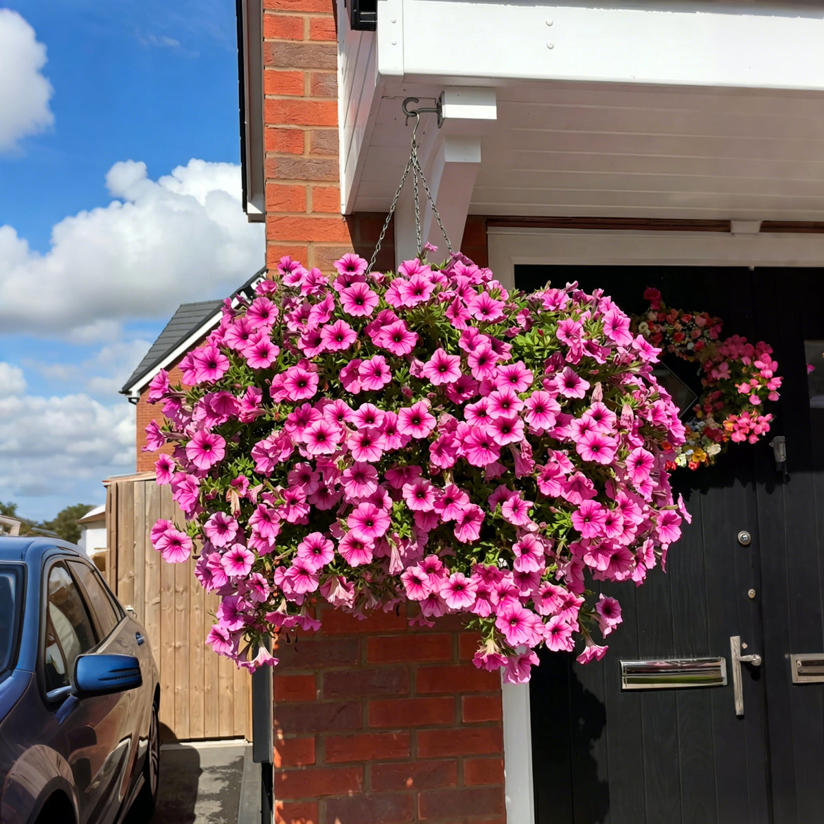 🏆2026 Super Value Set🔥UV Resistant Artificial Petunias Flowers