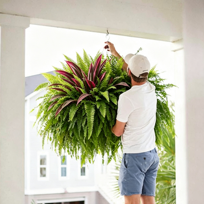 💥Last Day 70% OFF🌿- Artificial Fern & Red Dracaena – Lifelike, UV Resistant, No Watering Needed