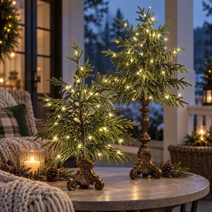 🌙🎄 Vintage Lighted Norfolk Pine Trees