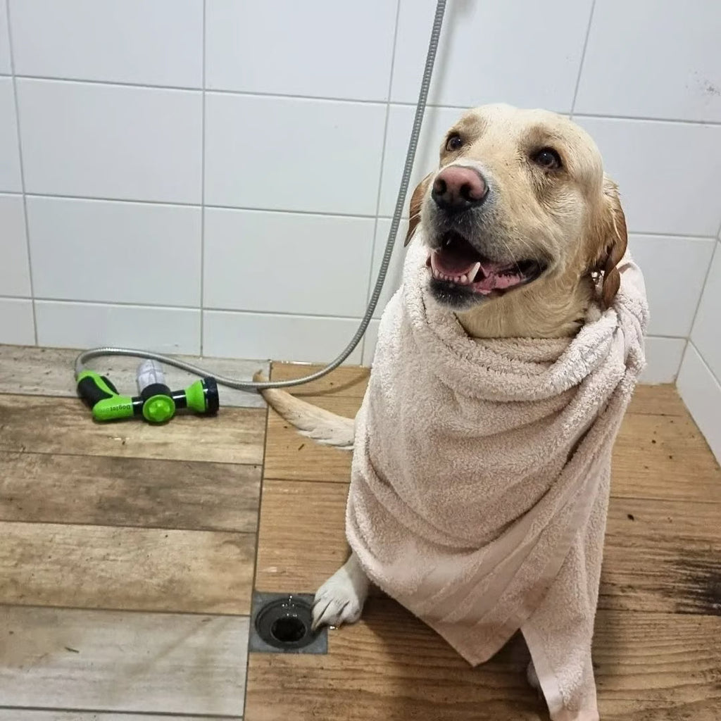 DogJet Pro Pet Bath Sprayer