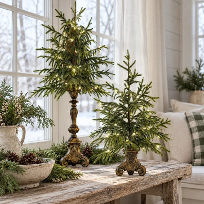 🌙🎄 Vintage Lighted Norfolk Pine Trees
