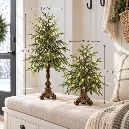 🌙🎄 Vintage Lighted Norfolk Pine Trees