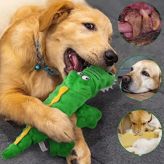 Squeaky Crocodile Plush Dog Toy for Aggressive Chewers