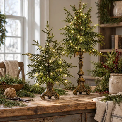 🌙🎄 Vintage Lighted Norfolk Pine Trees