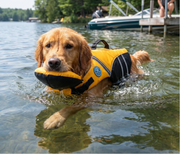 Dog Safety Swim Vest with Rescue Handle