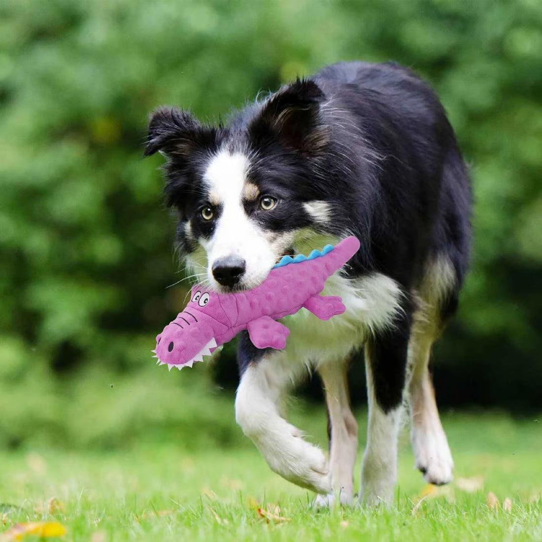 Squeaky Crocodile Plush Dog Toy for Aggressive Chewers