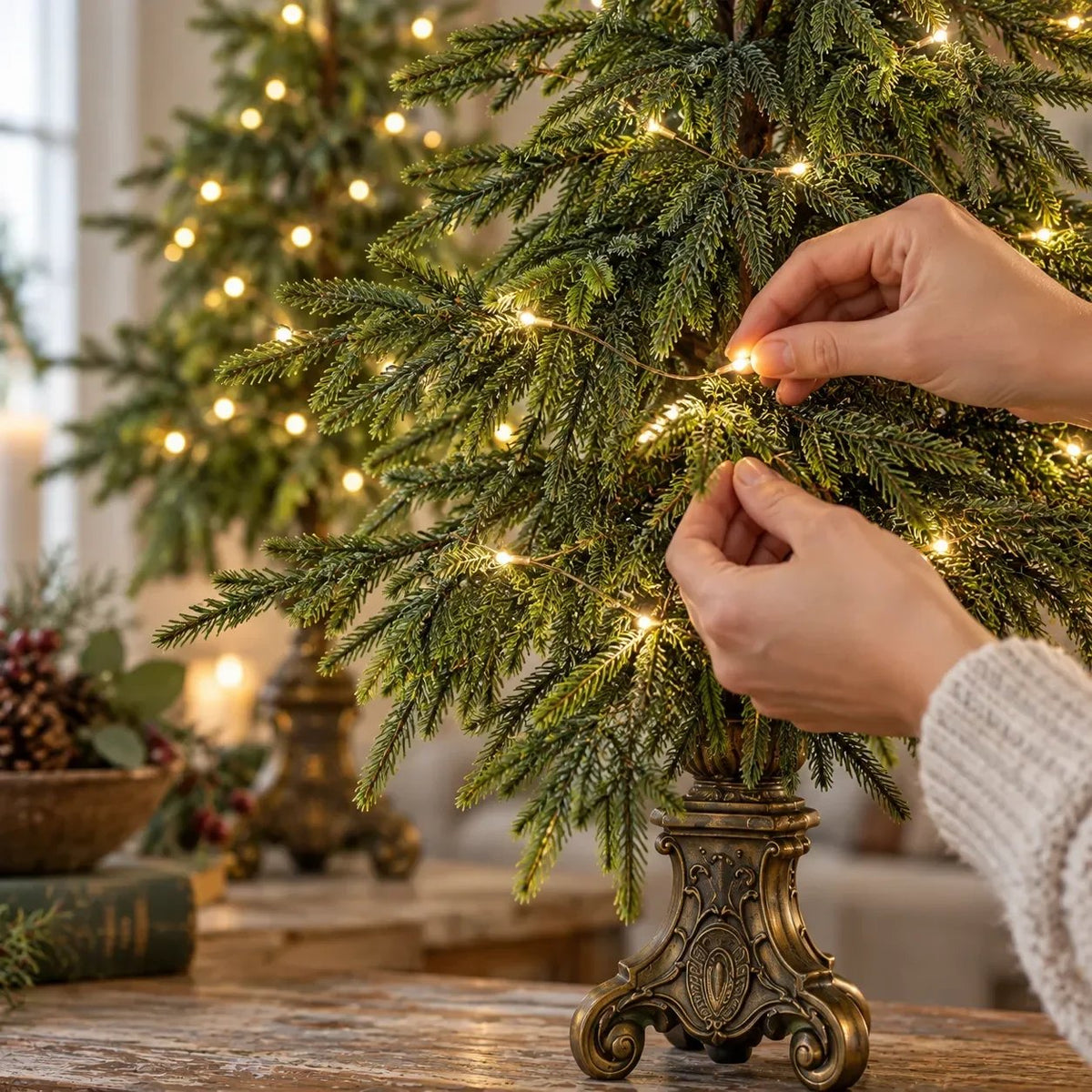 🌙🎄 Vintage Lighted Norfolk Pine Trees