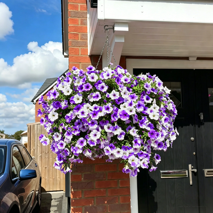 💥Last Day 70% OFF🌼-UV Resistant Artificial Petunias Flowers